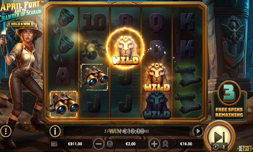 Bonus Rounds and Features